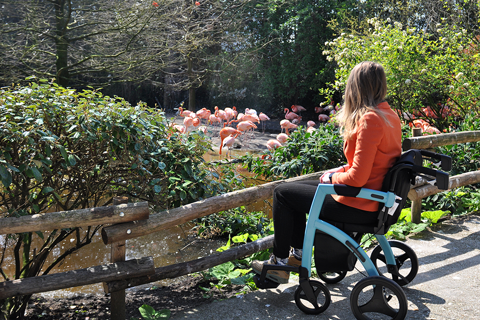 Young woman watching flamingos while sitting in a wheelchair with an orange jacket - Disability is ageless