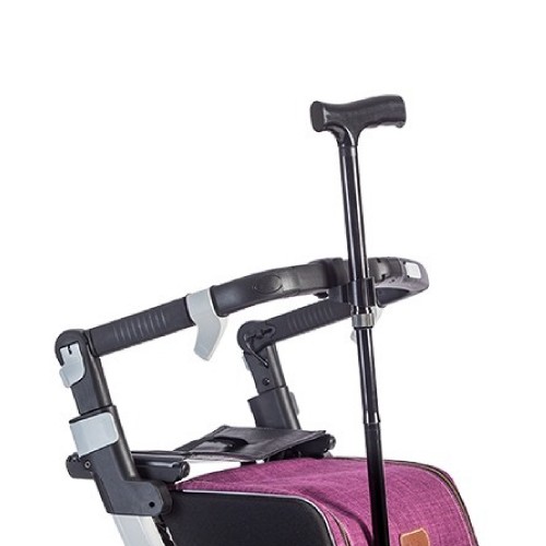 Cane holder attached to the frame of a Rollz Flex rollator